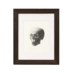MIRIAM BARANOV Skull Study Original Graphite on Paper Circa 2020