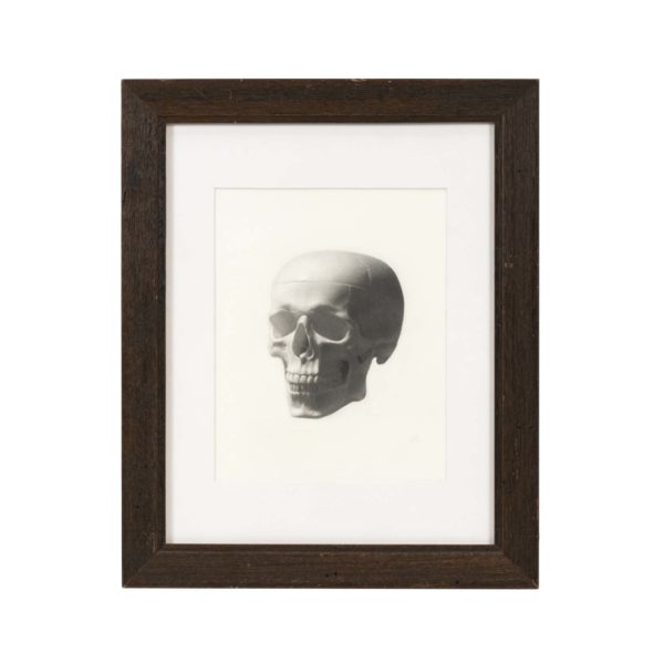 MIRIAM BARANOV Skull Study Original Graphite on Paper Circa 2020 - Image 1