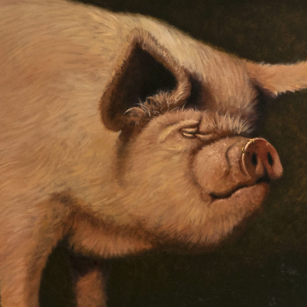 MICHAEL CHRISTIE Original Oil on Canvas Painting of Pig - Image 2
