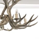 Deer Antler 6 Light Chandelier - Image 5