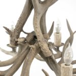 Deer Antler 6 Light Chandelier - Image 4