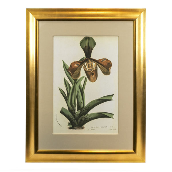 Oversized Gold Framed Botanical - Image 1