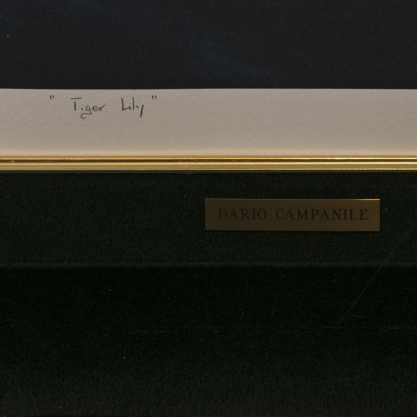 DARIO CAMPANILE “Tiger Lily” Limited Edition Artist Proof Lithograph - Signed - Image 5