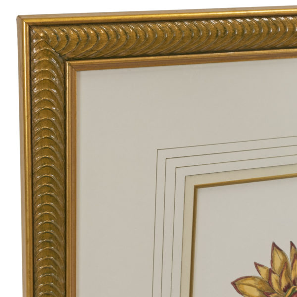 JOHN-RICHARD Hand Colored Botanical Print - Image 3