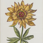 JOHN-RICHARD Hand Colored Botanical Print - Image 2