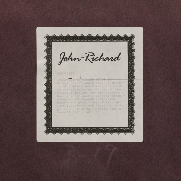 JOHN-RICHARD Hand Colored Botanical Print - Image 4