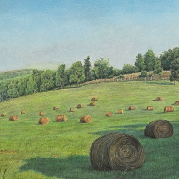 JASON FLOYD LEWIS Original Color Pencil “Meadows of Dan” - Signed - Image 3
