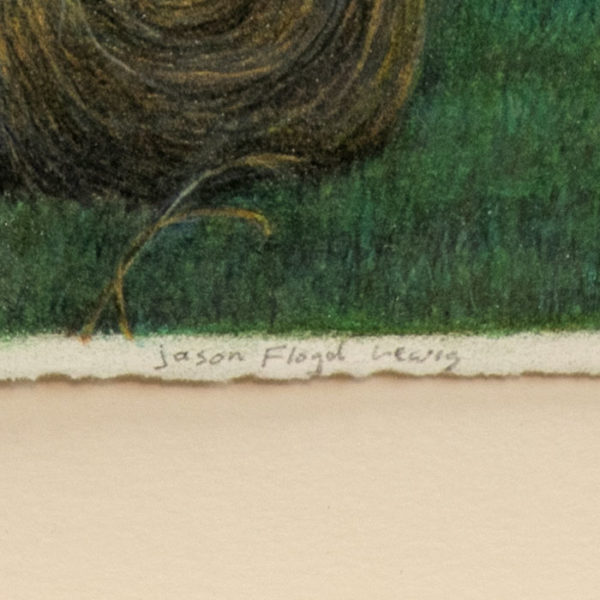 JASON FLOYD LEWIS Original Color Pencil “Meadows of Dan” - Signed - Image 6