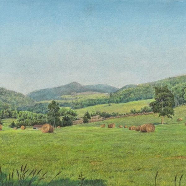 JASON FLOYD LEWIS Original Color Pencil “Meadows of Dan” - Signed - Image 4