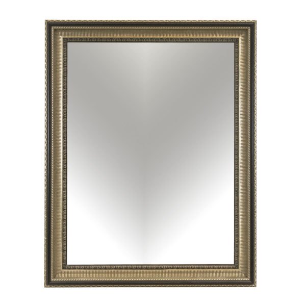37”x 47” Rectangular Wall Mirror in Antiqued Metallic - Image 1