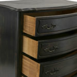 Lenoir House by BROYHILL French Provincial 5 Drawer Chest - Image 3