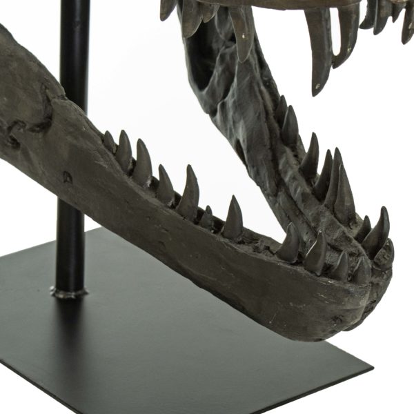 UTTERMOST T-Rex Skull on Stand - Image 6
