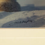 THOMAS MANGELSEN (1946-) “First Rays - Arctic Fox” Limited Edition Photographic Print - Image 3
