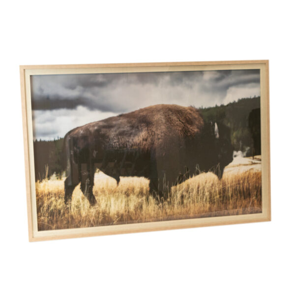 ELM & IRON Yellowstone Bison Framed Print - Image 1