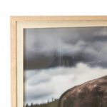 ELM & IRON Yellowstone Bison Framed Print - Image 2