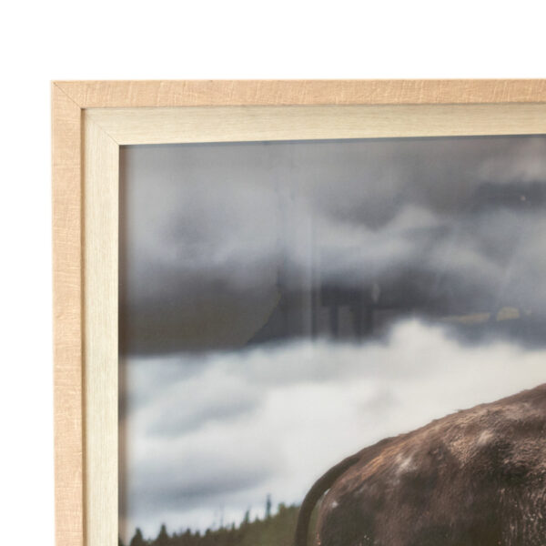 ELM & IRON Yellowstone Bison Framed Print - Image 2