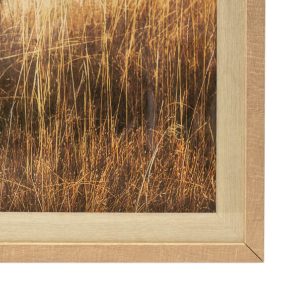 ELM & IRON Yellowstone Bison Framed Print - Image 3