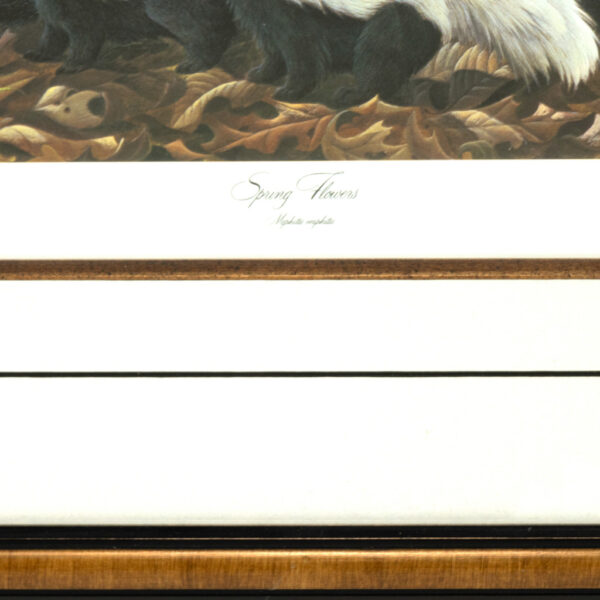Vintage JOHN RUTHVEN “Spring Flowers” Limited Edition Print - Image 4