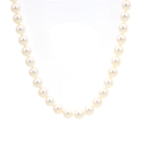 MIKIMOTO Pearl Necklace with 18 Karat Gold Clasp