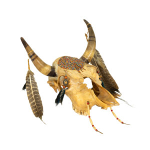 Bison Skull with Various Adornments