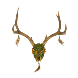 Vintage Navajo Turquoise Encrusted Deer Skull