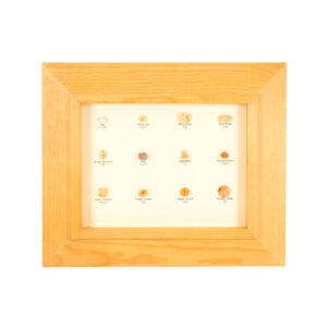Cereal Specimen in Wood Frame