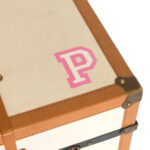 Vintage Victoria’s Secret Store Display Belted Trunk - Image 5