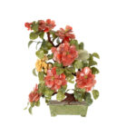 Large Oriental Jade Tree