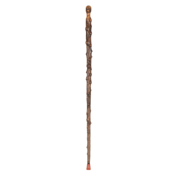 Vintage Rustic Knobby Wood Walking Stick - Image 1