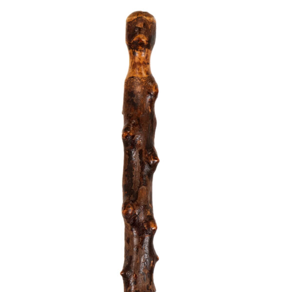 Vintage Rustic Knobby Wood Walking Stick - Image 2