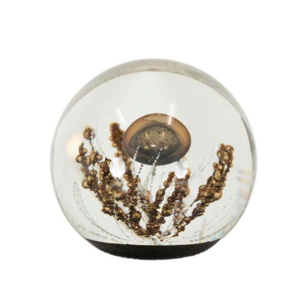 SELKIRK OF SCOTLAND Blown Glass Paperweight - Image 1