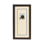 “Toro III” Signed Etching