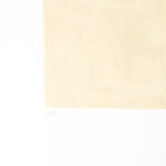 LARA GRINES KATNER “Removed” Original Artist Proof Print - Image 3