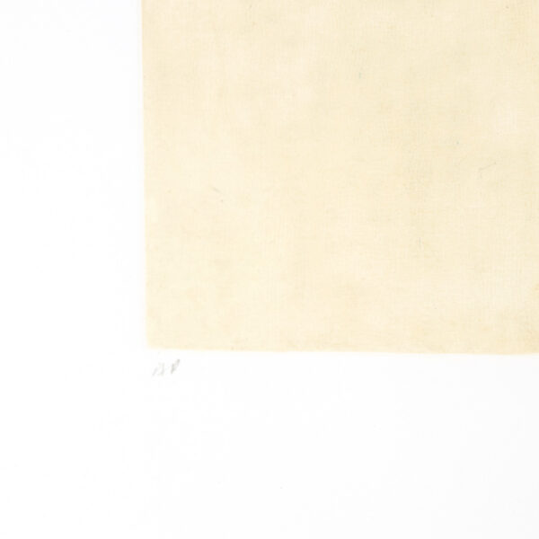 LARA GRINES KATNER “Removed” Original Artist Proof Print - Image 3