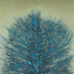 JOICHI HOSHI “Treetop” Signed Woodblock Print - Image 2