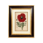 ETHAN ALLEN Botanical Framed Print