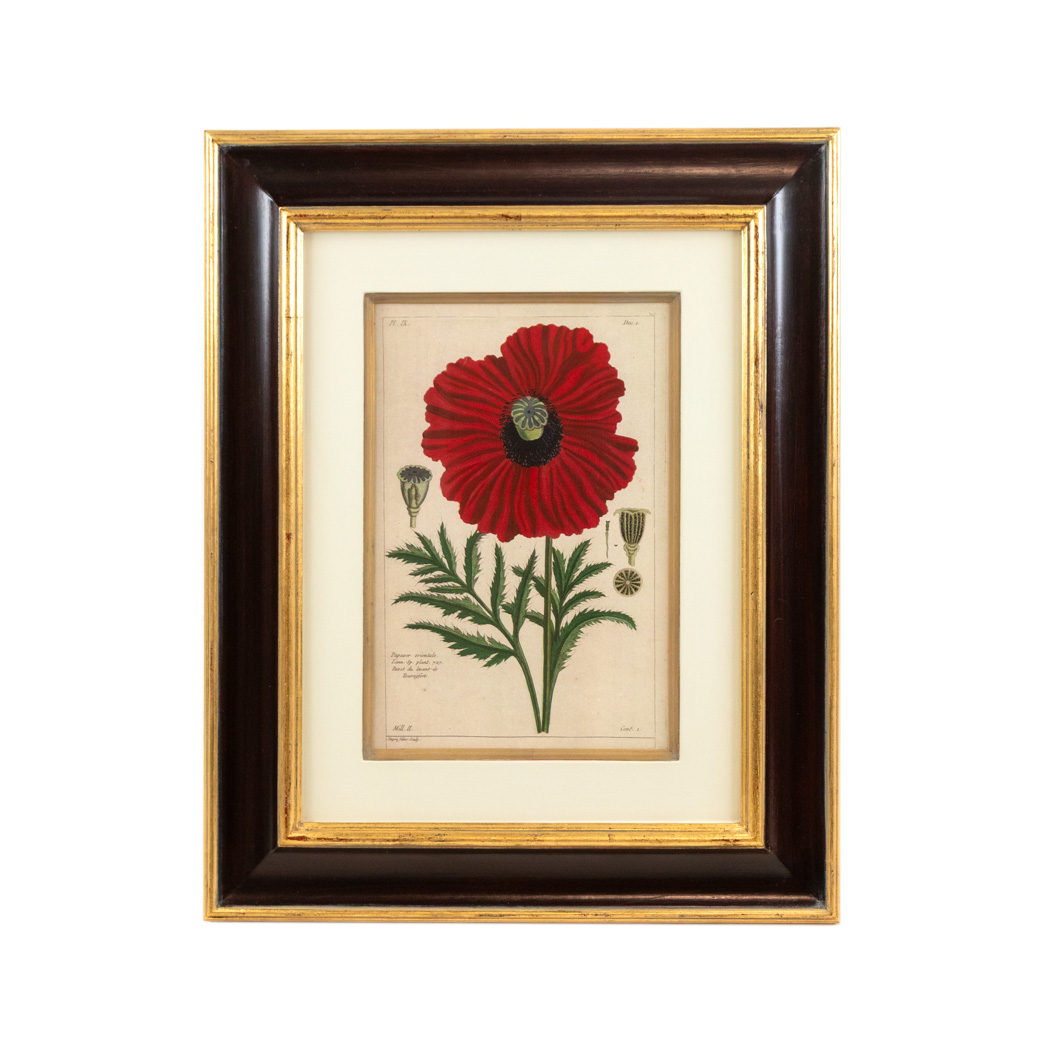 XMBZ_100-2 ETHAN ALLEN Botanical Framed Print - Image 1