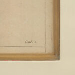 ETHAN ALLEN Botanical Framed Print - Image 4