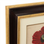 ETHAN ALLEN Botanical Framed Print - Image 2