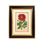 ETHAN ALLEN Botanical Framed Print