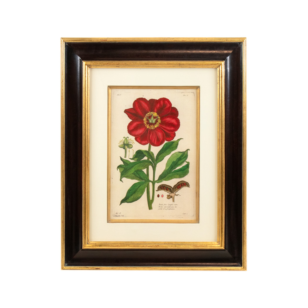 XMBZ_101-2 ETHAN ALLEN Botanical Framed Print - Image 1