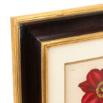 ETHAN ALLEN Botanical Framed Print - Image 2