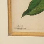 ETHAN ALLEN Botanical Framed Print - Image 3